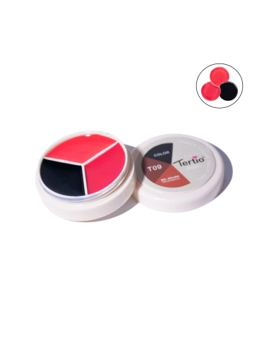 T09 TROIS EN UN GEL SOLIDE