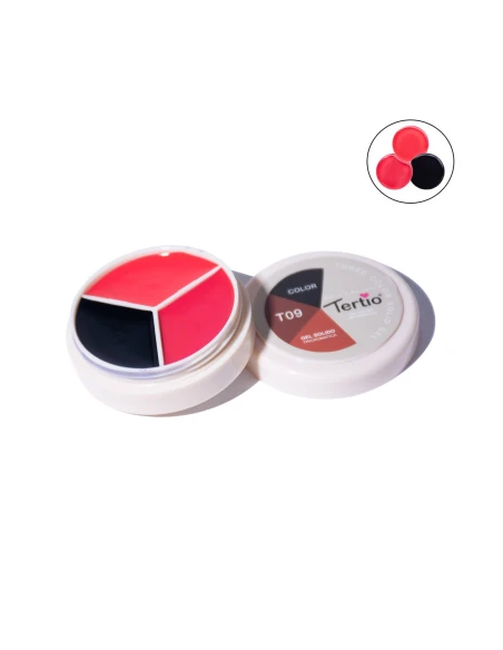 T09 TROIS EN UN GEL SOLIDE