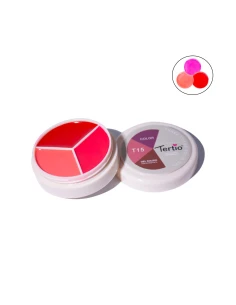 T15 TROIS EN UN SEUL GEL SOLIDE