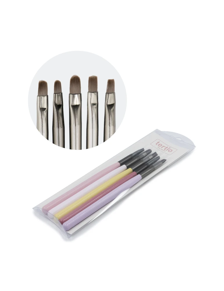 Ensemble de 5 pinceaux pour l'art des ongles