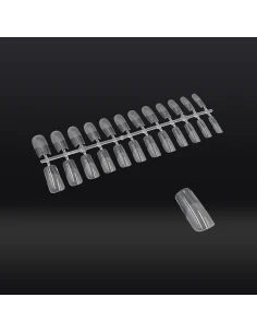 SQUQUADADAD TR TRANASSPARENTASSC SC SCINO OPACHE 240PZ