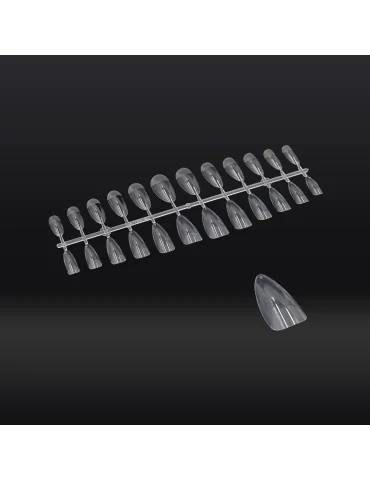 DICA: MANDORLA TRANSPARENTE COM DEGRADÊNCIA OPACA 240 UNIDADES