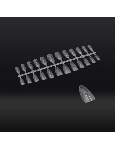 DICA: MANDORLA TRANSPARENTE COM DEGRADÊNCIA OPACA 240 UNIDADES