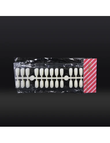 MUESTRA NATURAL DE 240 UÑAS