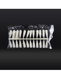 ÉCHANTILLON NATUREL DE 240 ONGLES