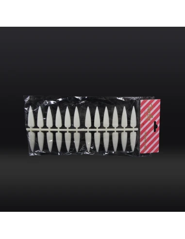 ÉCHANTILLON NATUREL DE 120 ONGLES