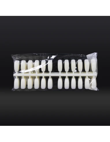 ÉCHANTILLON NATUREL DE 240 ONGLES