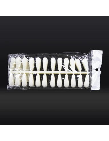 ÉCHANTILLON NATUREL DE 240 ONGLES