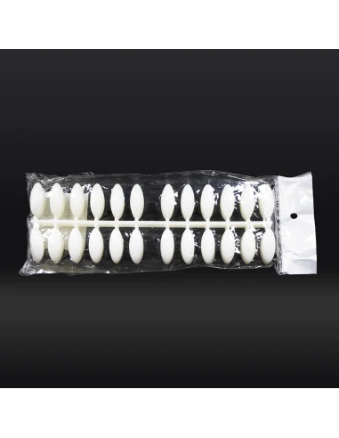 ÉCHANTILLON NATUREL DE 240 ONGLES