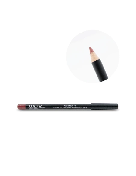 71 LÁPIZ LABIAL