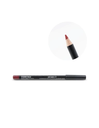 77 LÁPIZ LABIAL