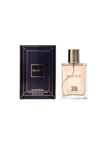 36 SCHWARZ B