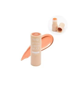 04 APLICADOR DE BLUSH EM CREME
