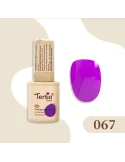 067 SEMIPERMANENTE TPO FREE 10ML