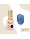 077 SEMIPERMANENTE TPO FREE 10ML
