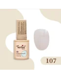 107 SEMIPERMANENTE TPO FREE 10ML